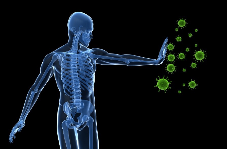 How Age Impacts The Immune System - Custom Vitamins And Supplements